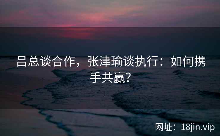 吕总谈合作，张津瑜谈执行：如何携手共赢？  第2张