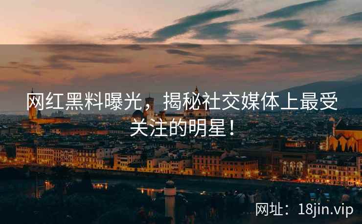 网红黑料曝光，揭秘社交媒体上最受关注的明星！  第2张