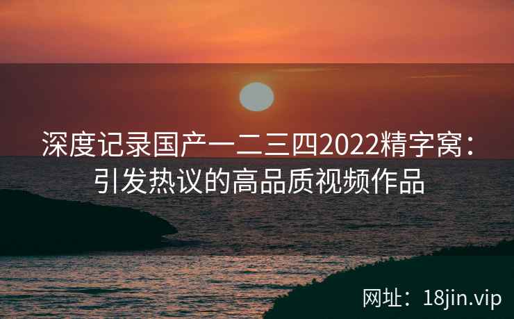 深度记录国产一二三四2022精字窝：引发热议的高品质视频作品  第2张