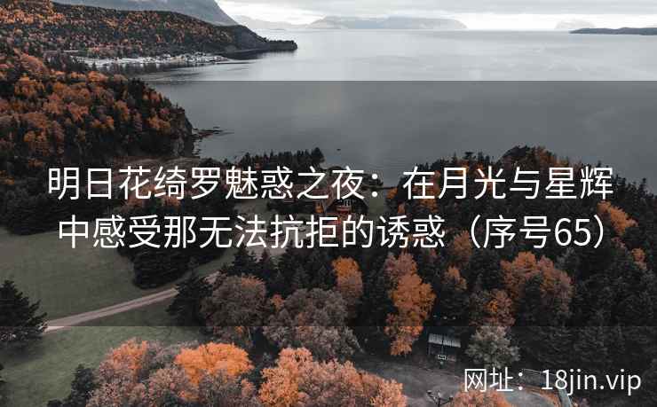 明日花绮罗魅惑之夜：在月光与星辉中感受那无法抗拒的诱惑（序号65）